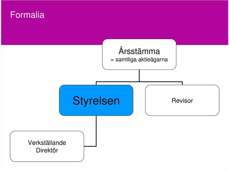 Styrelsen Revisor