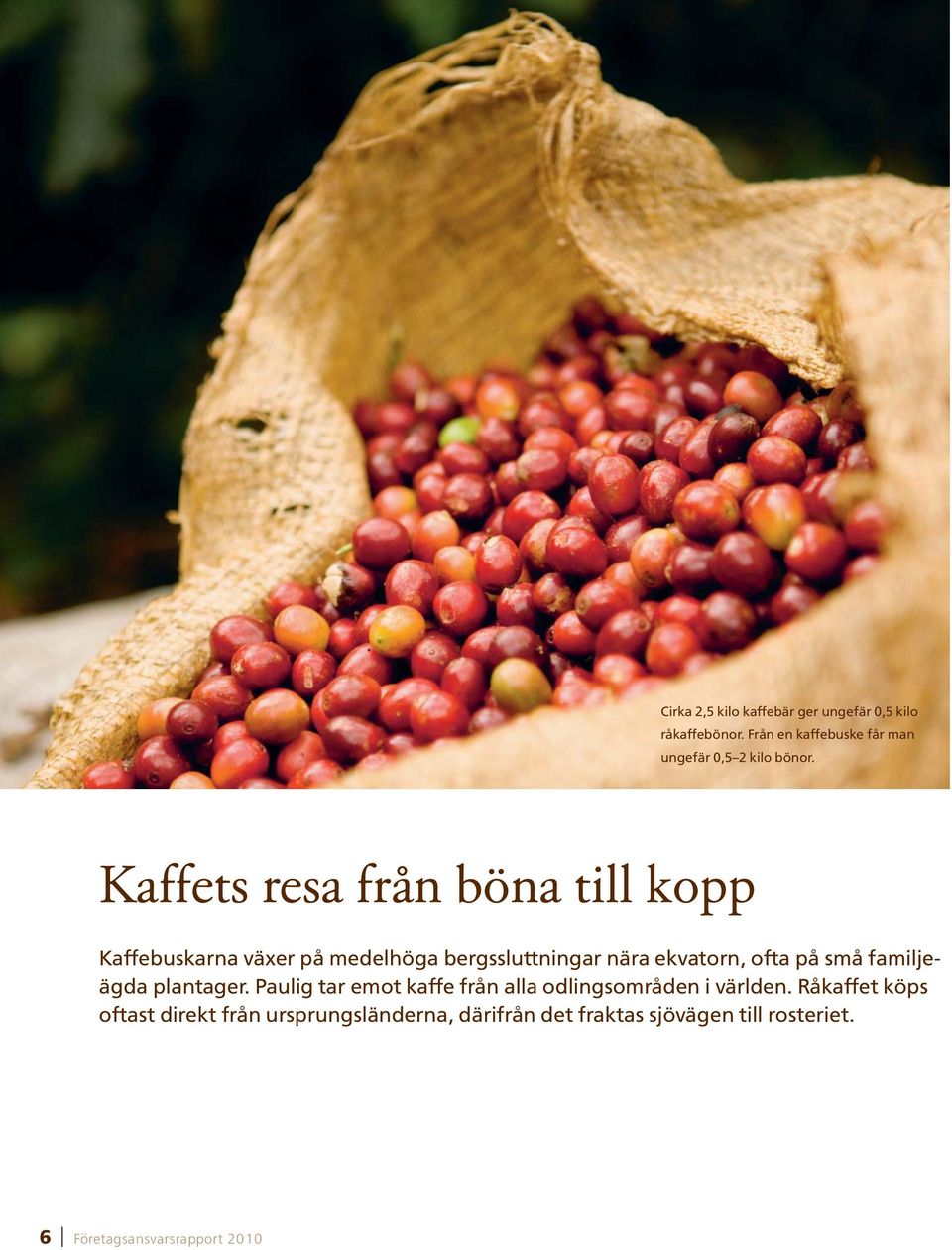 Kaffets resa från böna till kopp Kaffebuskarna växer på medelhöga bergssluttningar nära ekvatorn, ofta på