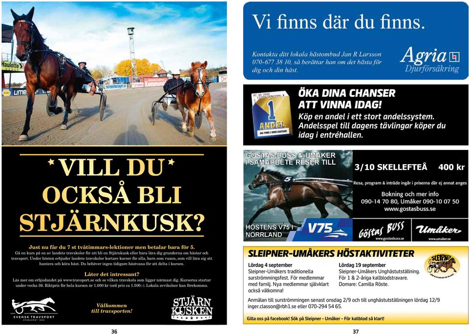 Gå en kurs på en av landets travskolor för att bli en Stjärnkusk eller bara lära dig grunderna om hästar och travsport.