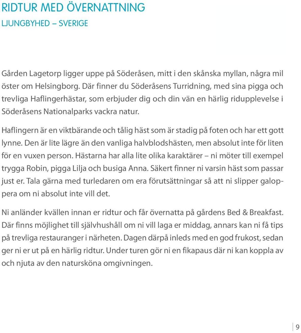 Haflingern är en viktbärande och tålig häst som är stadig på foten och har ett gott lynne. Den är lite lägre än den vanliga halvblodshästen, men absolut inte för liten för en vuxen person.