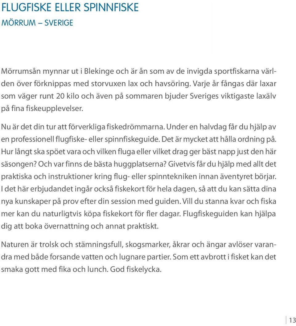 Under en halvdag får du hjälp av en professionell flugfiske- eller spinnfiskeguide. Det är mycket att hålla ordning på.