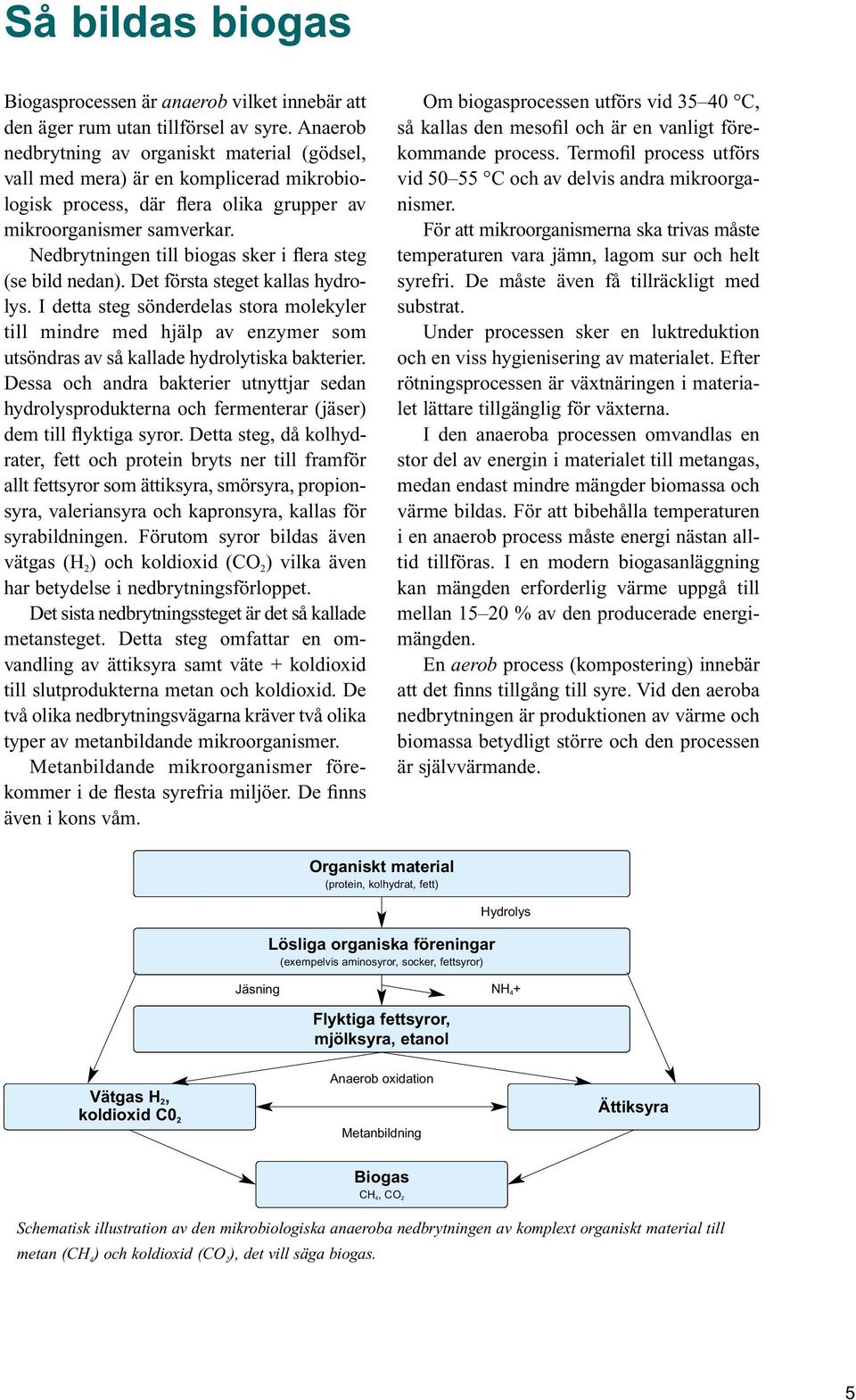 Nedbrytningen till biogas sker i flera steg (se bild nedan). Det första steget kallas hydrolys.