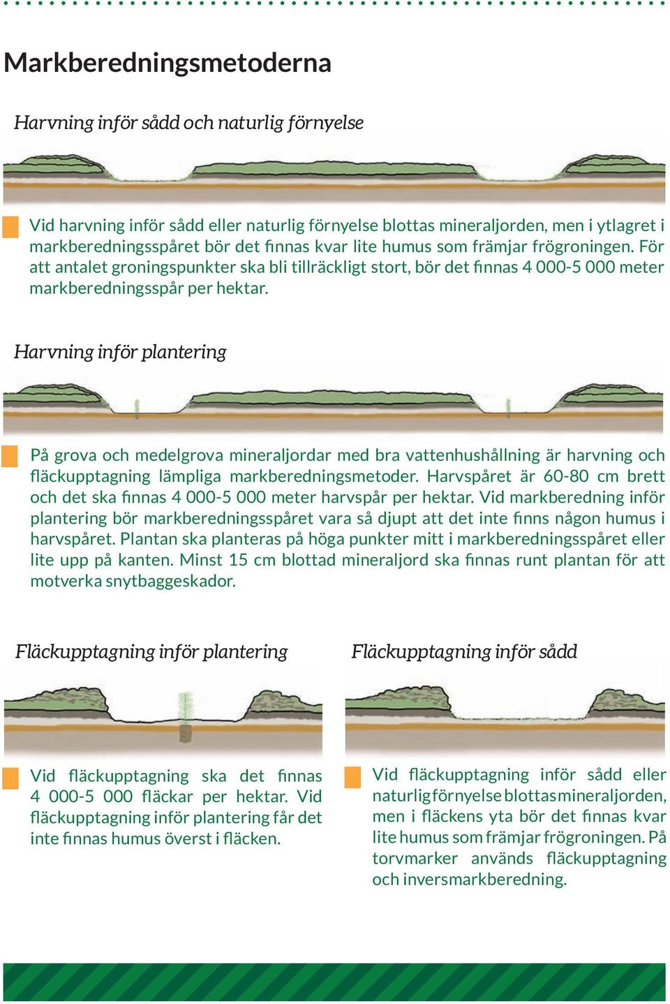 Harvning inför plantering På grova och medelgrova mineraljordar med bra vattenhushållning är harvning och fläckupptagning lämpliga markberedningsmetoder.