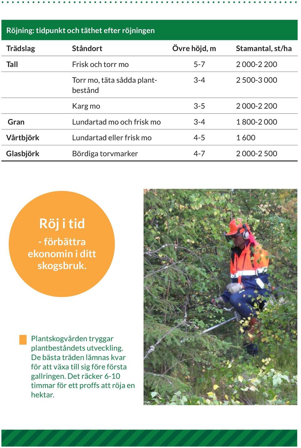 mo 4-5 1 600 Glasbjörk Bördiga torvmarker 4-7 2 000-2 500 Röj i tid - förbättra ekonomin i ditt skogsbruk.