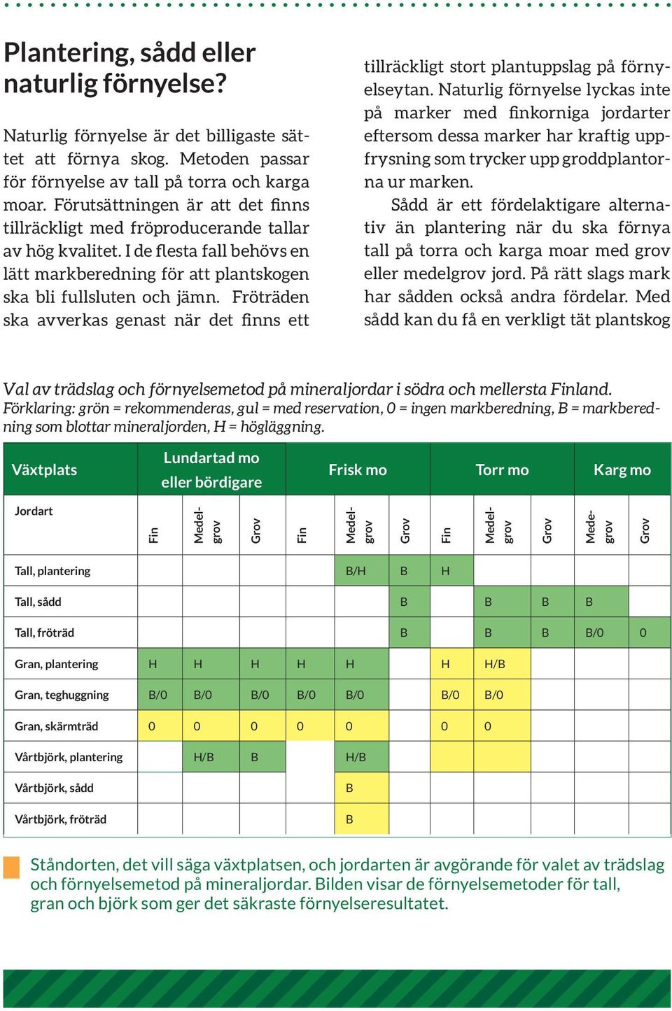 Fröträden ska avverkas genast när det finns ett tillräckligt stort plantuppslag på förnyelseytan.