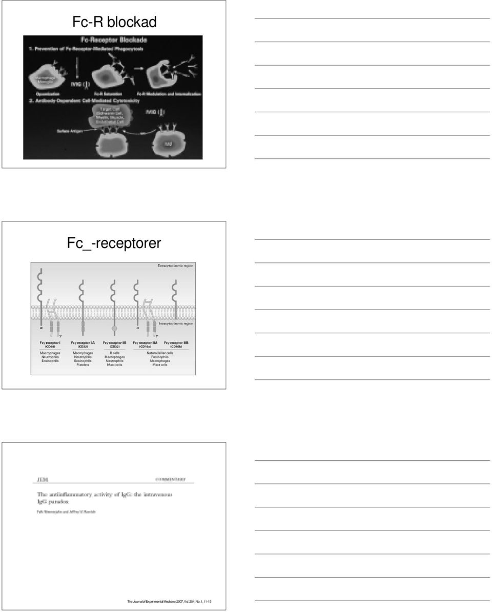 Journal of Experimental