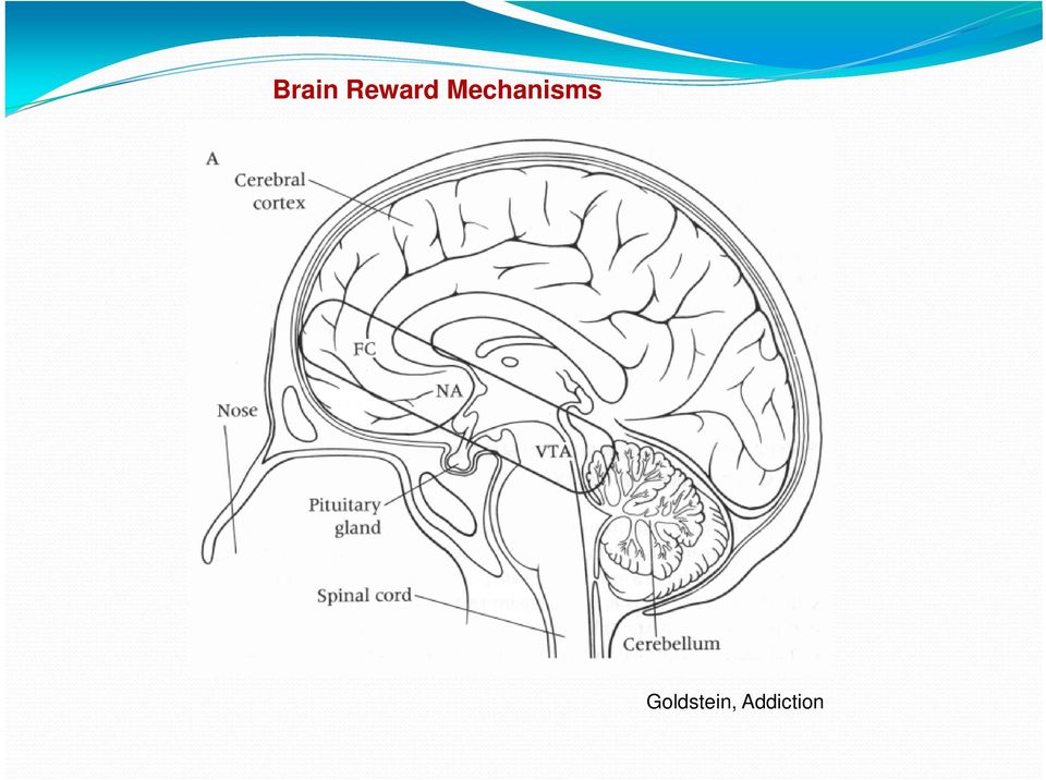 Mechanisms