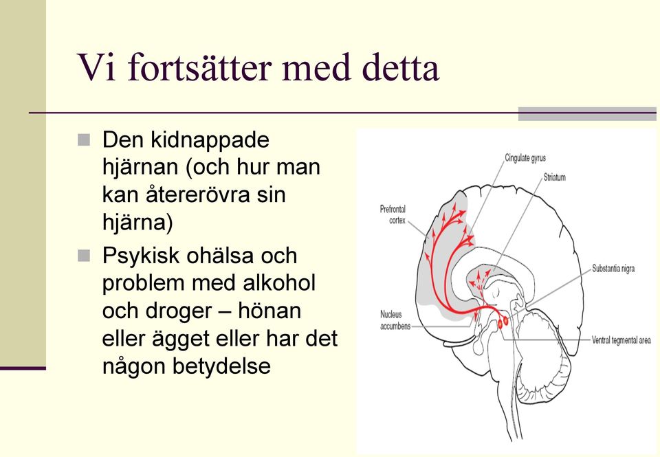 hjärna) n Psykisk ohälsa och problem med