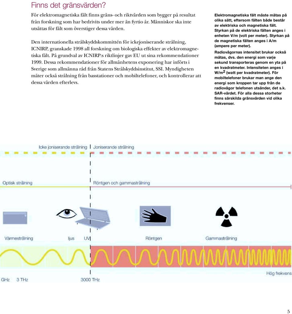 Den internationella strålskyddskommittén för ickejoniserande strålning, ICNIRP, granskade 1998 all forskning om biologiska effekter av elektromagnetiska fält.