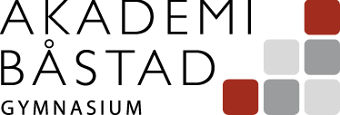 VÄLKOMMEN TILL Akademi Båstad gymnasium LÄSÅRET 2016/2017 Detta informationshäfte ger en kortfattad information om Akademi Båstad gymnasium.