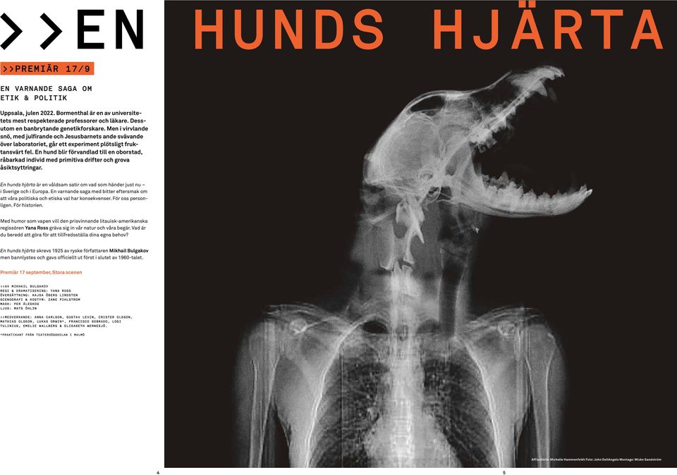 En hund blir förvandlad till en oborstad, råbarkad individ med primitiva drifter och grova åsiktsyttringar. En hunds hjärta är en våldsam satir om vad som händer just nu i Sverige och i Europa.