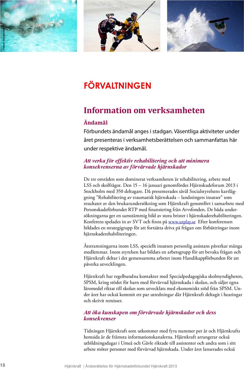 Att verka för effektiv rehabilitering och att minimera konsekvenserna av förvärvade hjärnskador De tre områden som dominerat verksamheten är rehabilitering, arbete med LSS och skolfrågor.