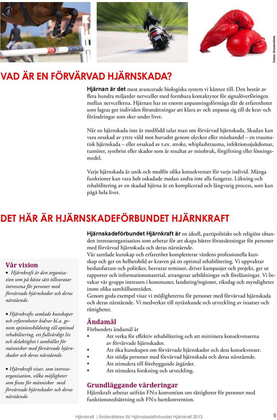 Hjärnan har en enorm anpassningsförmåga där de erfarenheter som lagras ger individen förutsättningar att klara av och anpassa sig till de krav och förändringar som sker under livet.