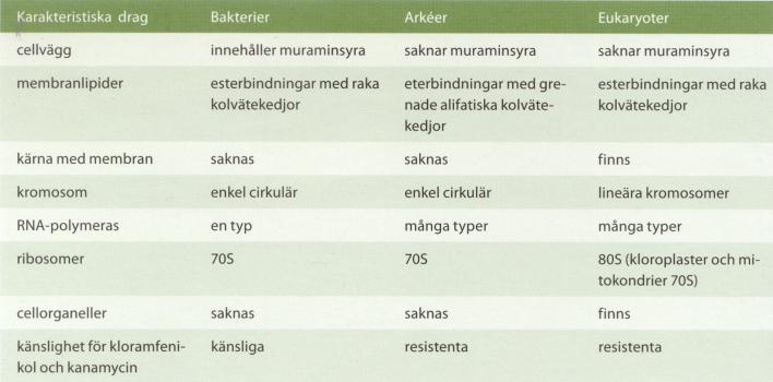 remt salta, sura eller basiska miljöer Men finns också i vanliga miljöer, t.ex.