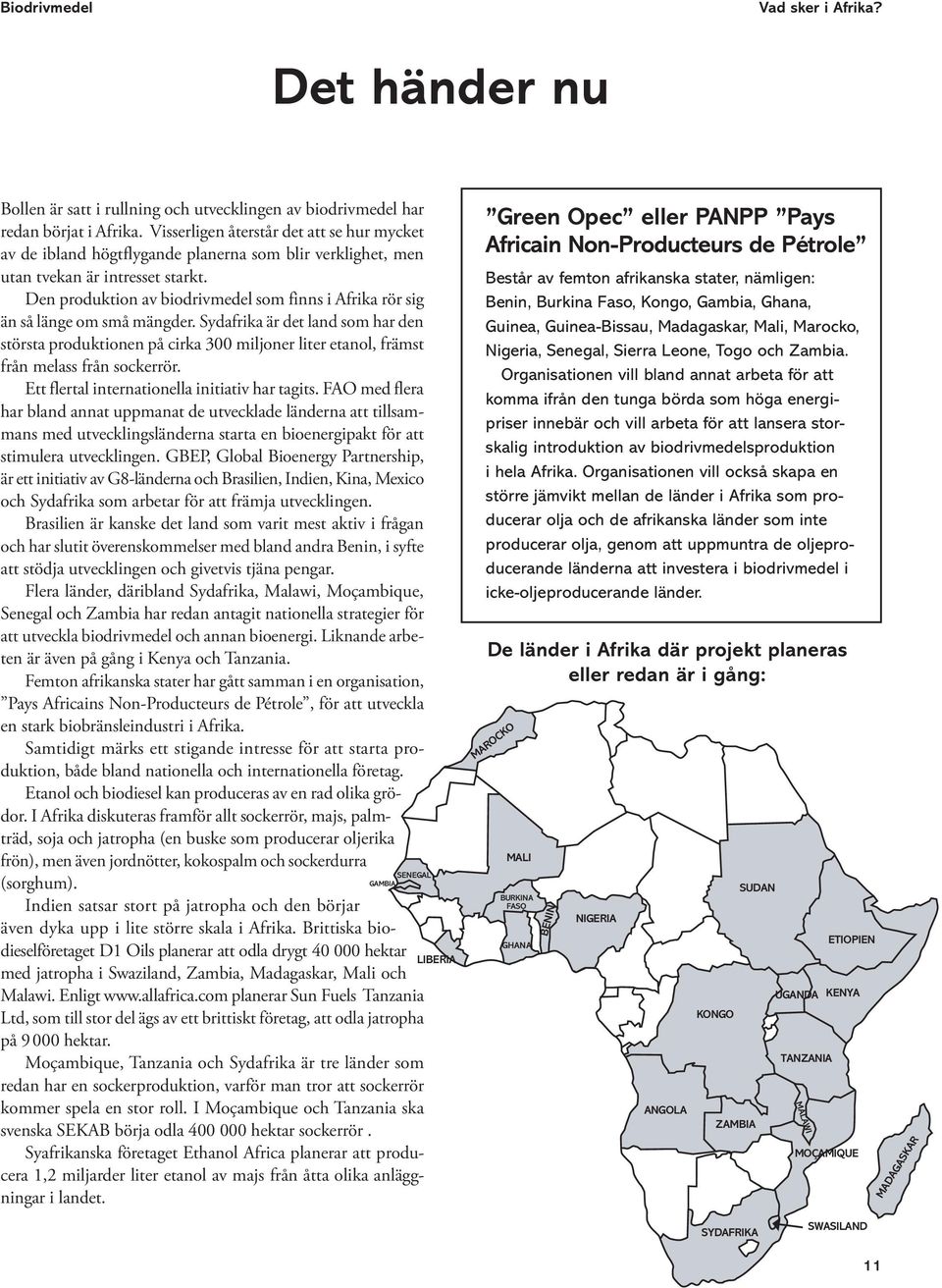 Den produktion av biodrivmedel som finns i Afrika rör sig än så länge om små mängder.