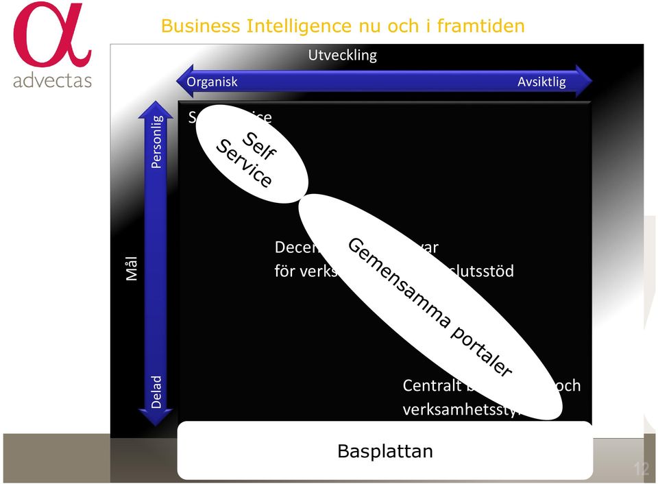 Decentraliserat ansvar för verksamhetsnära beslutsstöd