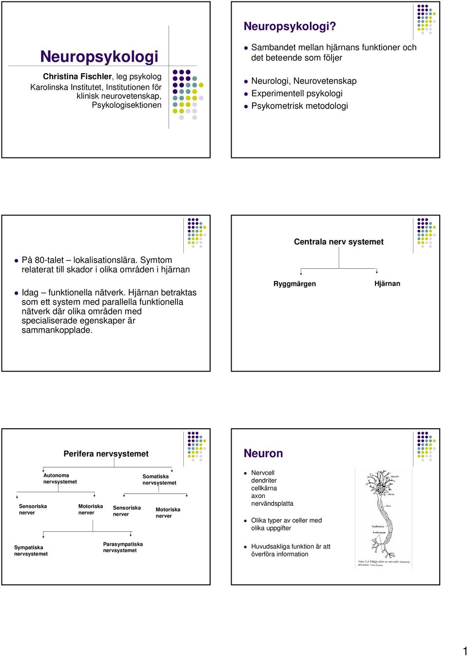 Neurologi, Neurovetenskap Experimentell psykologi Psykometrisk metodologi Centrala nerv systemet På 80-talet lokalisationslära.