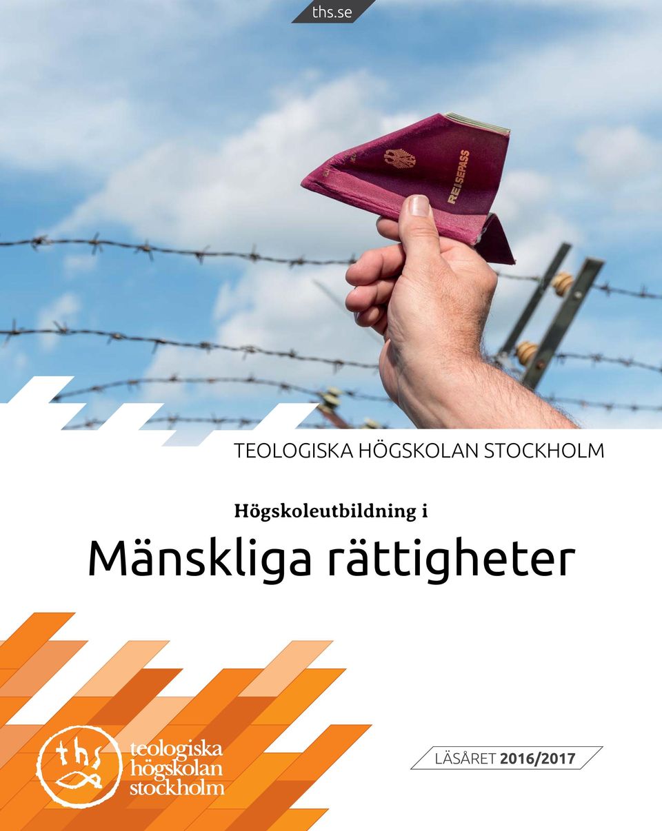 Högskoleutbildning i