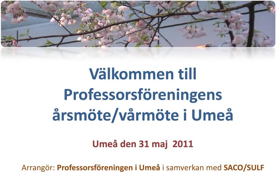 årsmöte/vårmöte i Umeå Umeå den 31