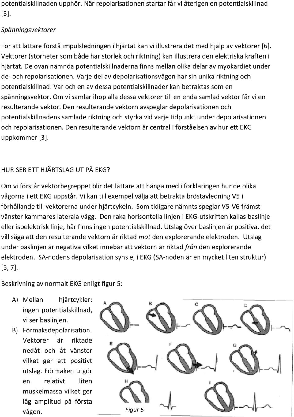 Vektorer (storheter som både har storlek och riktning) kan illustrera den elektriska kraften i hjärtat.