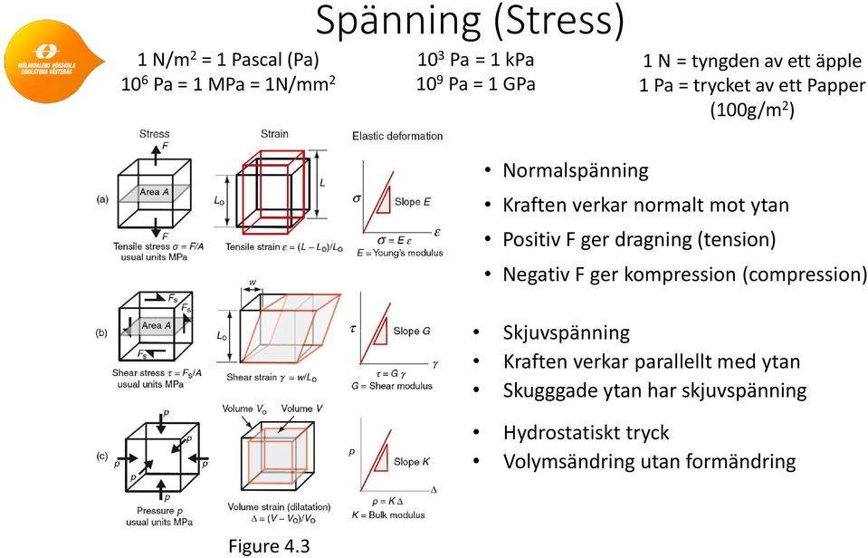 ytan Positiv F ger dragning (tension) Negativ F ger kompression (compression) Skjuvspänning Kraften verkar