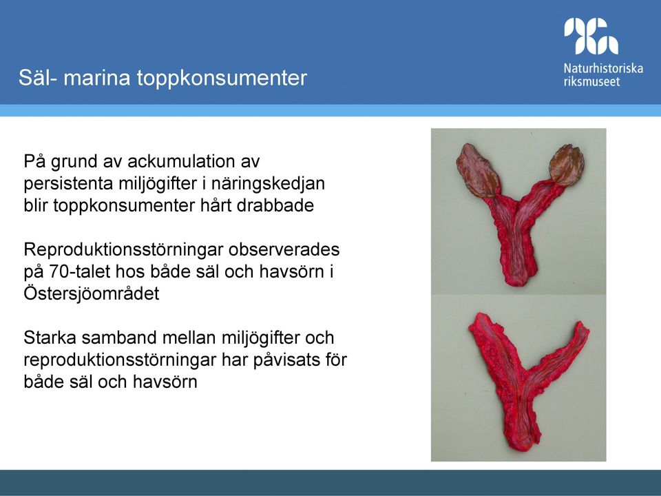 observerades på 70-talet hos både säl och havsörn i Östersjöområdet Starka