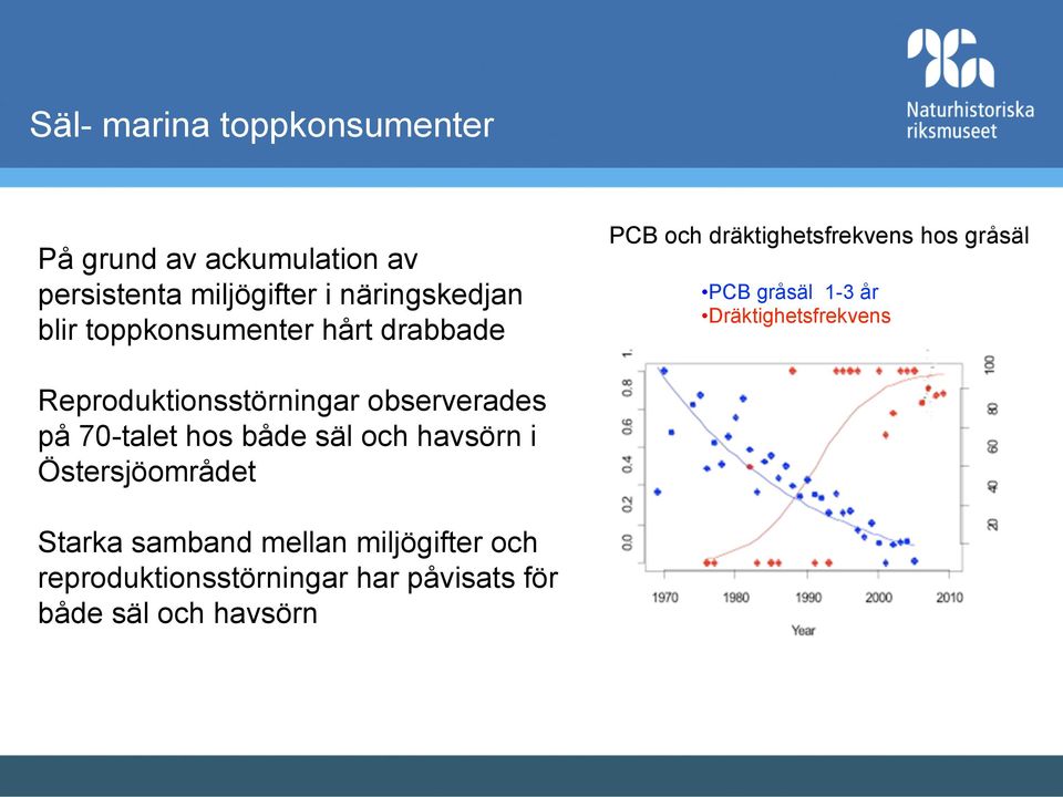 Dräktighetsfrekvens Reproduktionsstörningar observerades på 70-talet hos både säl och havsörn i