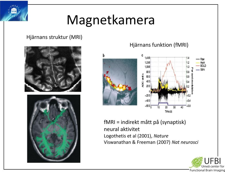 (synaptisk) neural aktivitet Logothetis et al