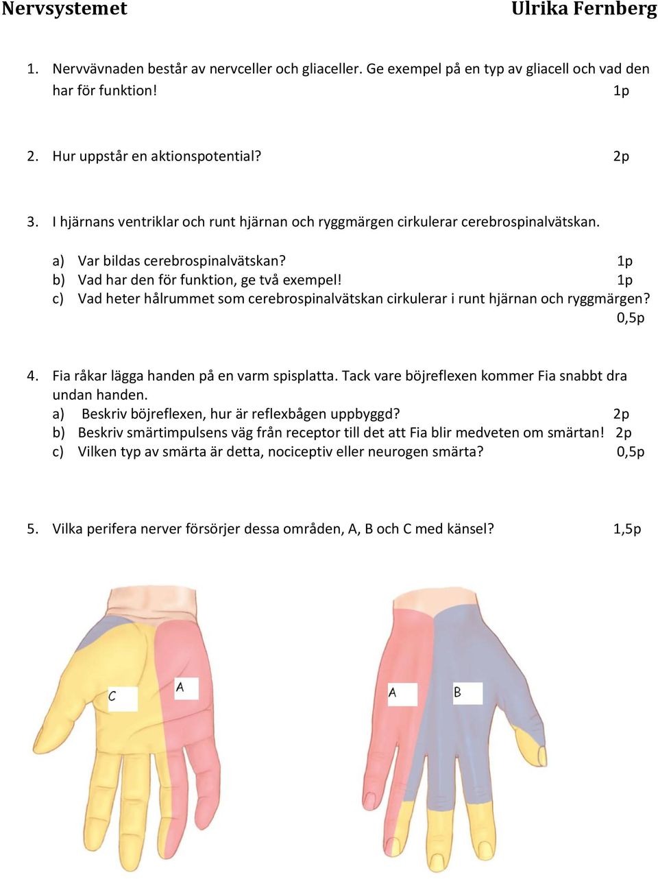 1p c) Vad heter hålrummet som cerebrospinalvätskan cirkulerar i runt hjärnan och ryggmärgen? 0,5p 4. Fia råkar lägga handen på en varm spisplatta.