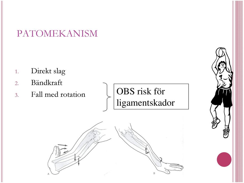 Bändkraft 3.