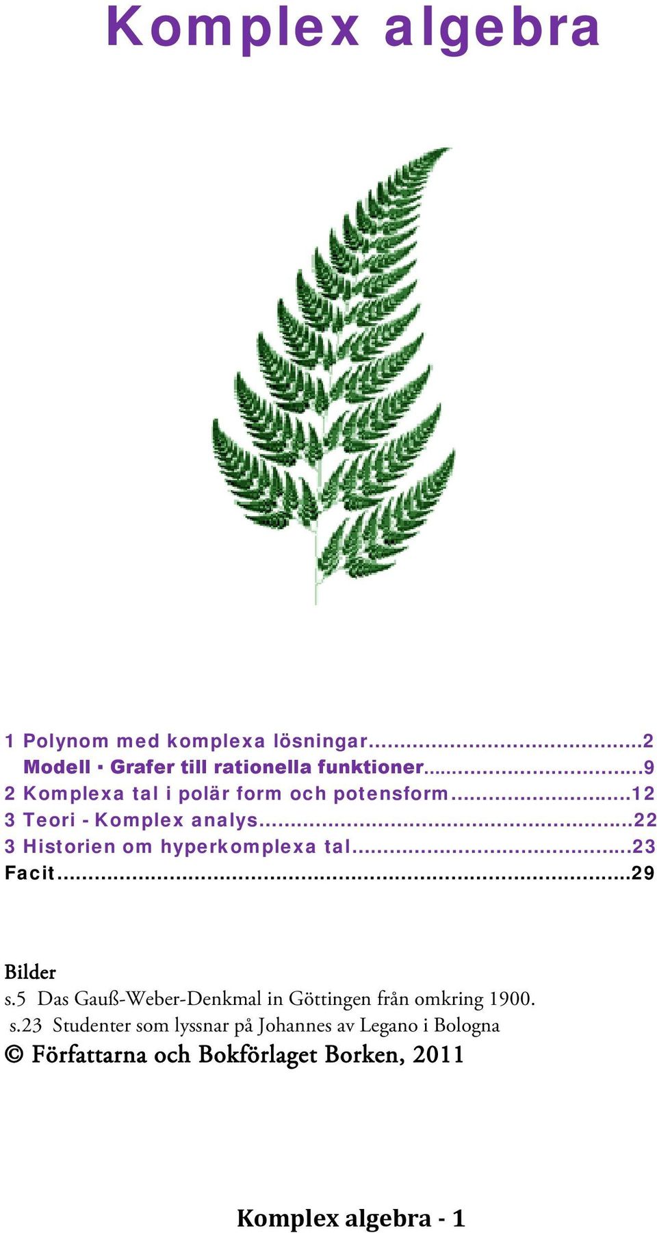 .. 3 Historien om hyperkomplexa tal...3 Facit..9 Bilder s.