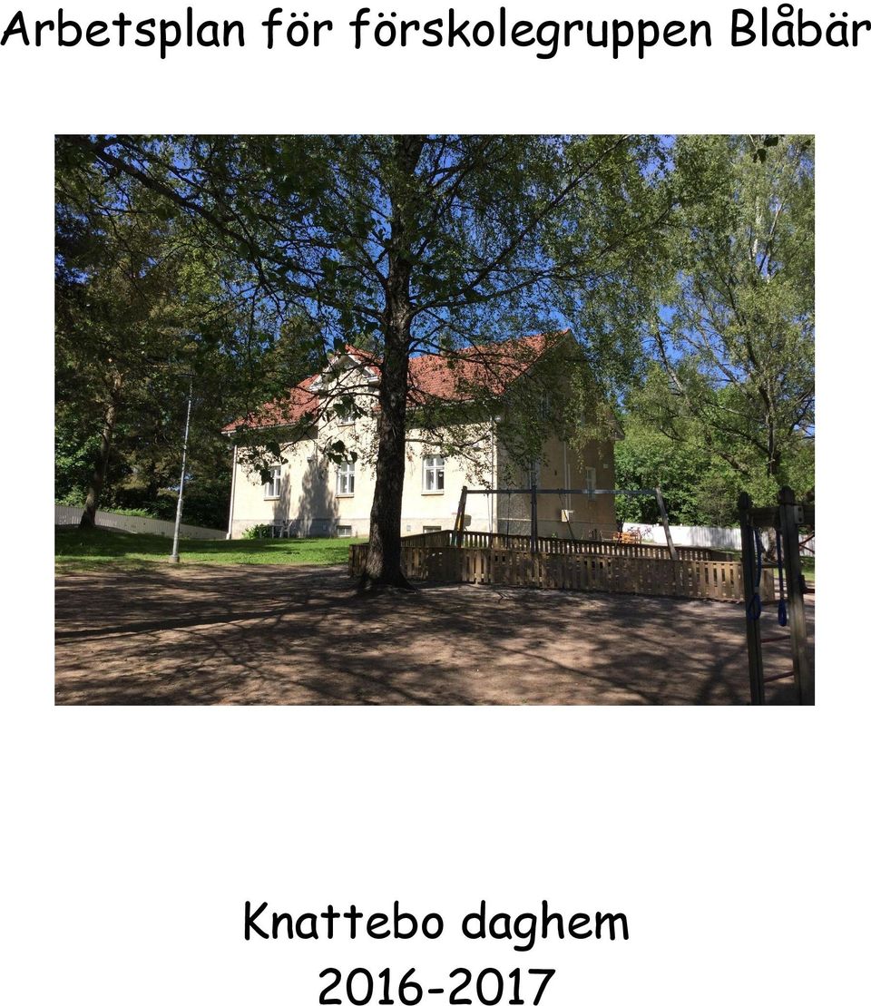 Blåbär Knattebo