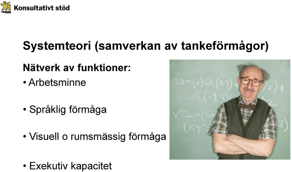 funktioner: Arbetsminne Språklig