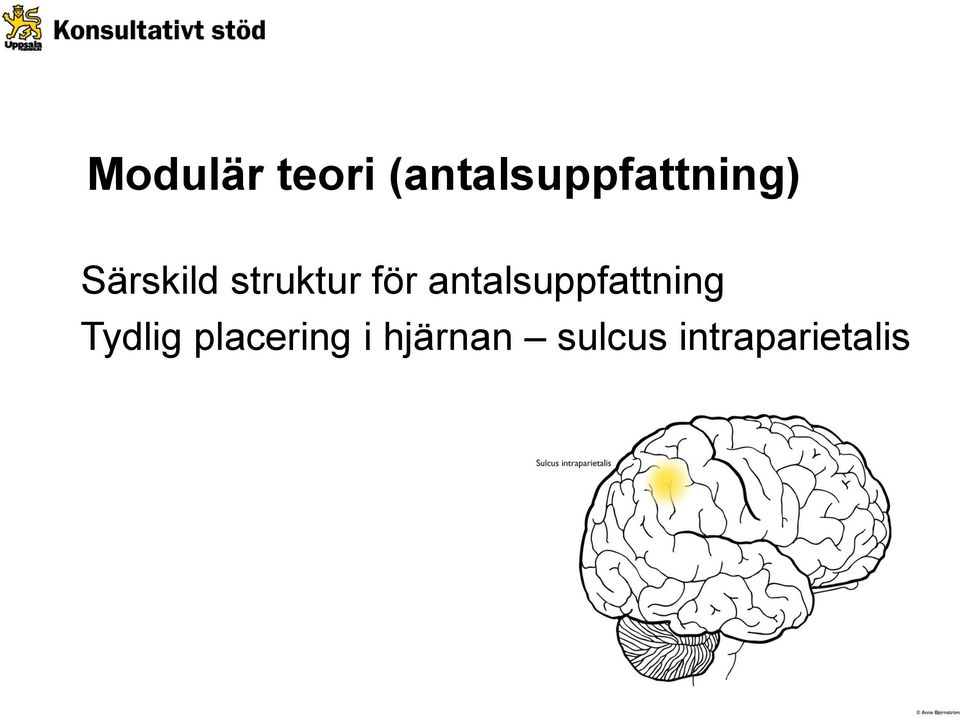 struktur för antalsuppfattning