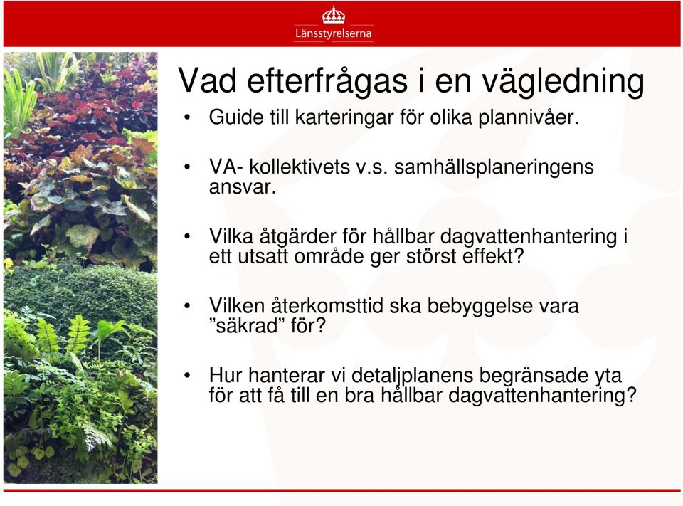 Vilka åtgärder för hållbar dagvattenhantering i ett utsatt område ger störst effekt?