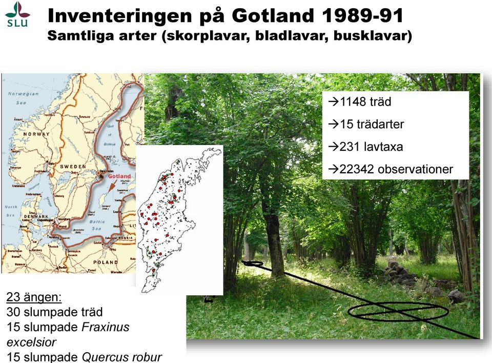 Gotland 1989-91 Samtliga arter (skorplavar, bladlavar,