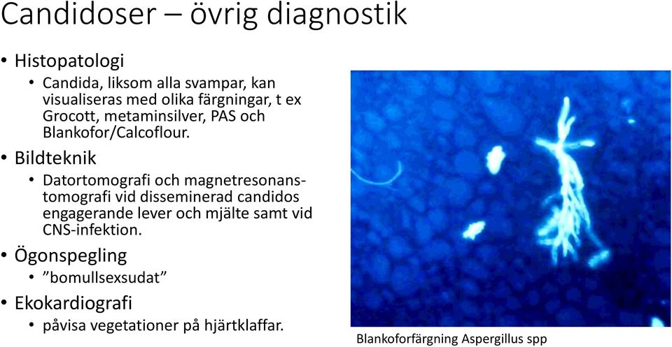 Bildteknik Datortomografi och magnetresonanstomografi vid disseminerad candidos engagerande lever och