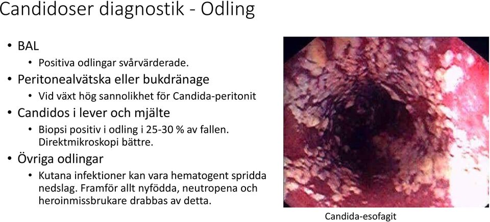 mjälte Biopsi positiv i odling i 25-30 % av fallen. Direktmikroskopi bättre.