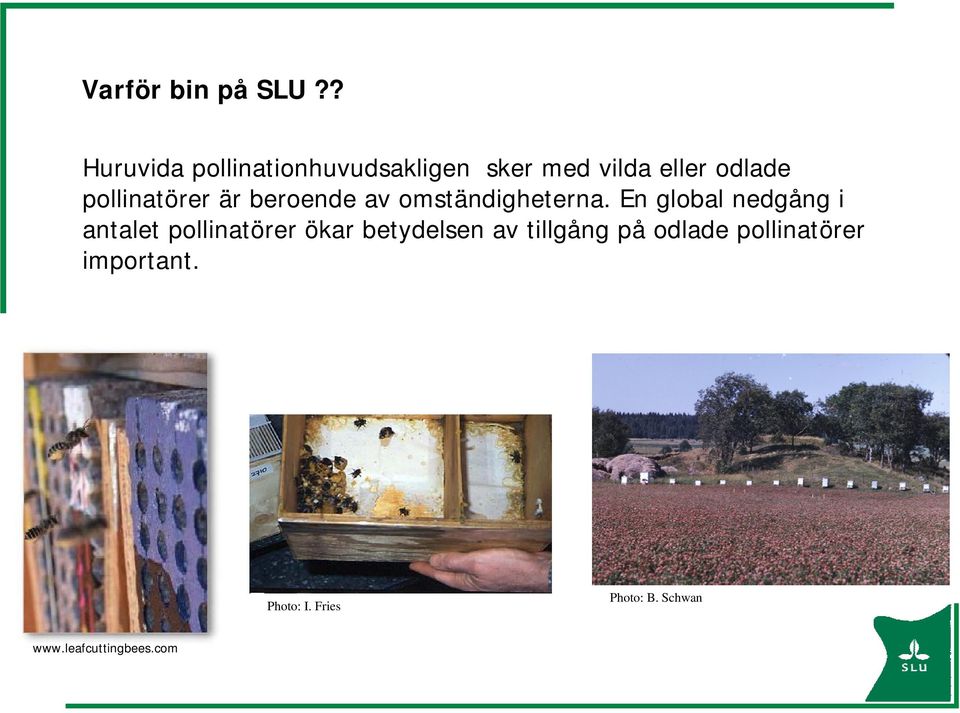 pollinatörer är beroende av omständigheterna.