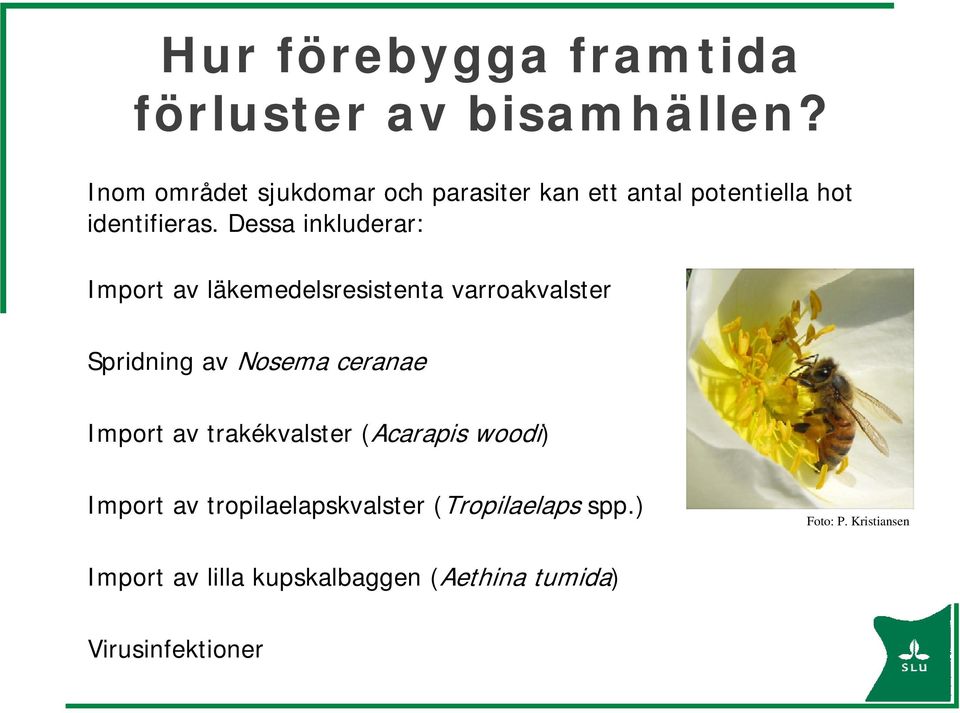 Dessa inkluderar: Import av läkemedelsresistenta varroakvalster Spridning av Nosema ceranae Import