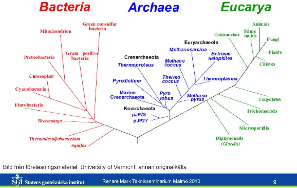 University of Vermont, annan