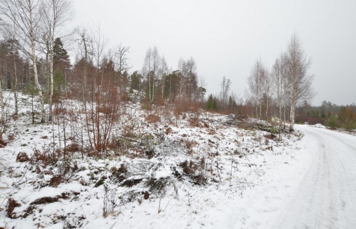 Det idylliska villa- och radhusområdet kombinerar närheten till Stockholm, Södertälje och Mariefred med fri och orörd natur bakom knuten.