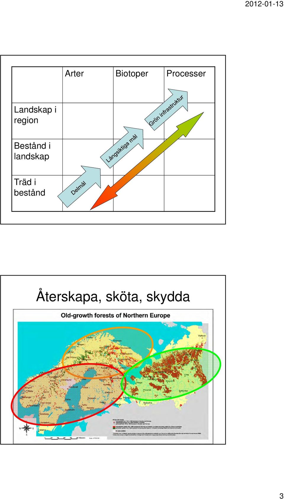 i landskap Träd i bestånd