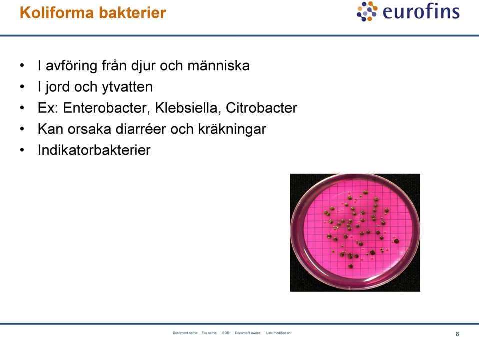 Enterobacter, Klebsiella, Citrobacter Kan