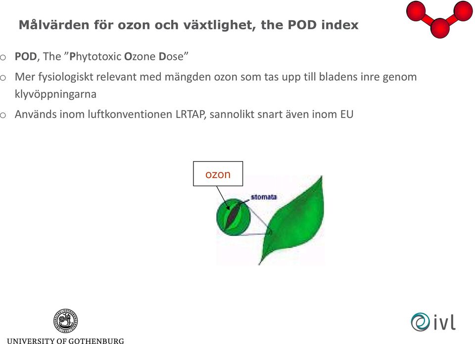 ozon som tas upp till bladens inre genom klyvöppningarna o