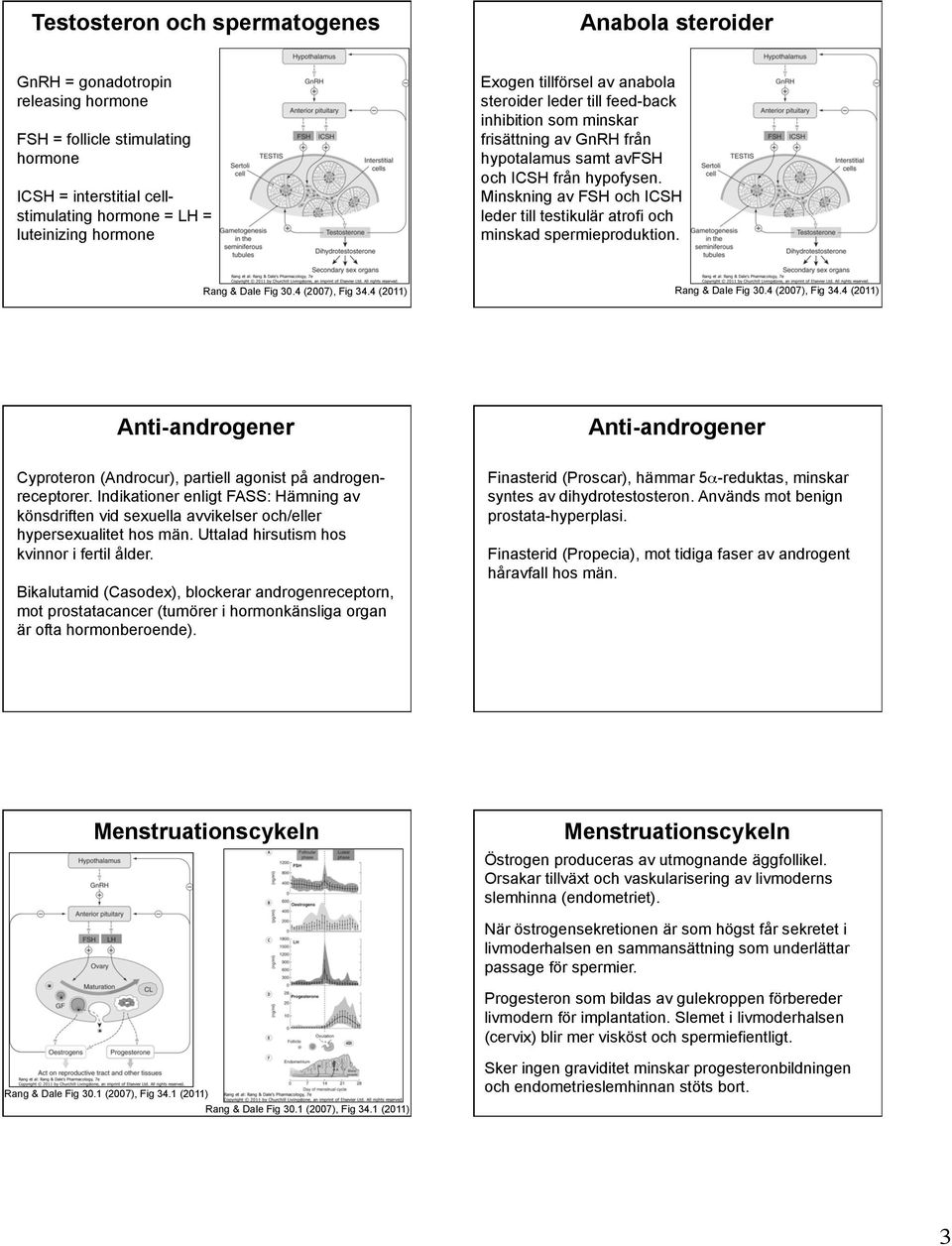 Minskning av FSH och ICSH leder till testikulär atrofi och minskad spermieproduktion. Rang & Dale Fig 30.4 (2007), Fig 34.