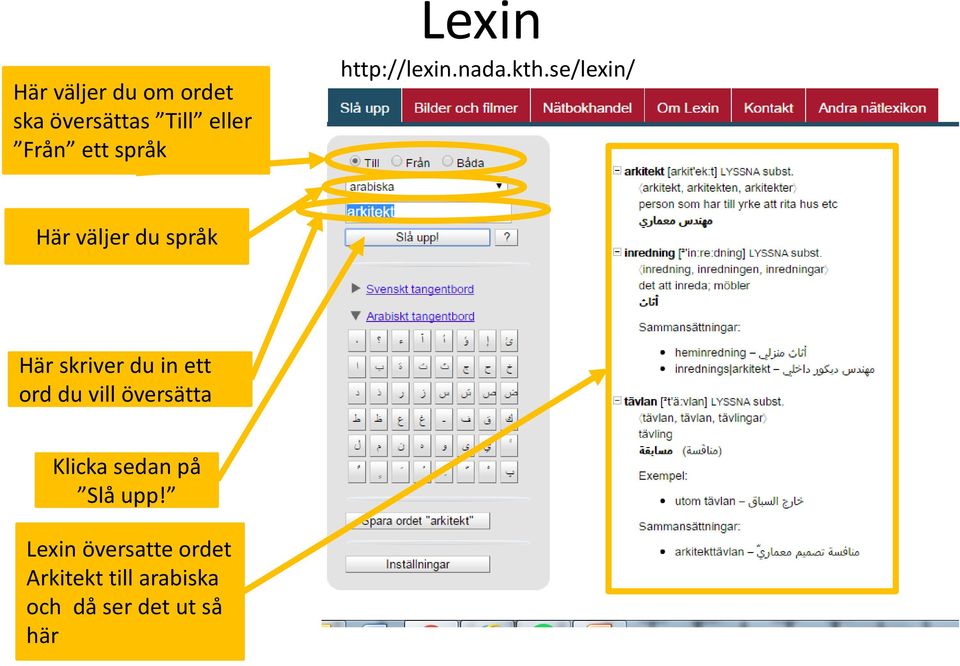 se/lexin/ Här väljer du språk Här skriver du in ett ord du vill
