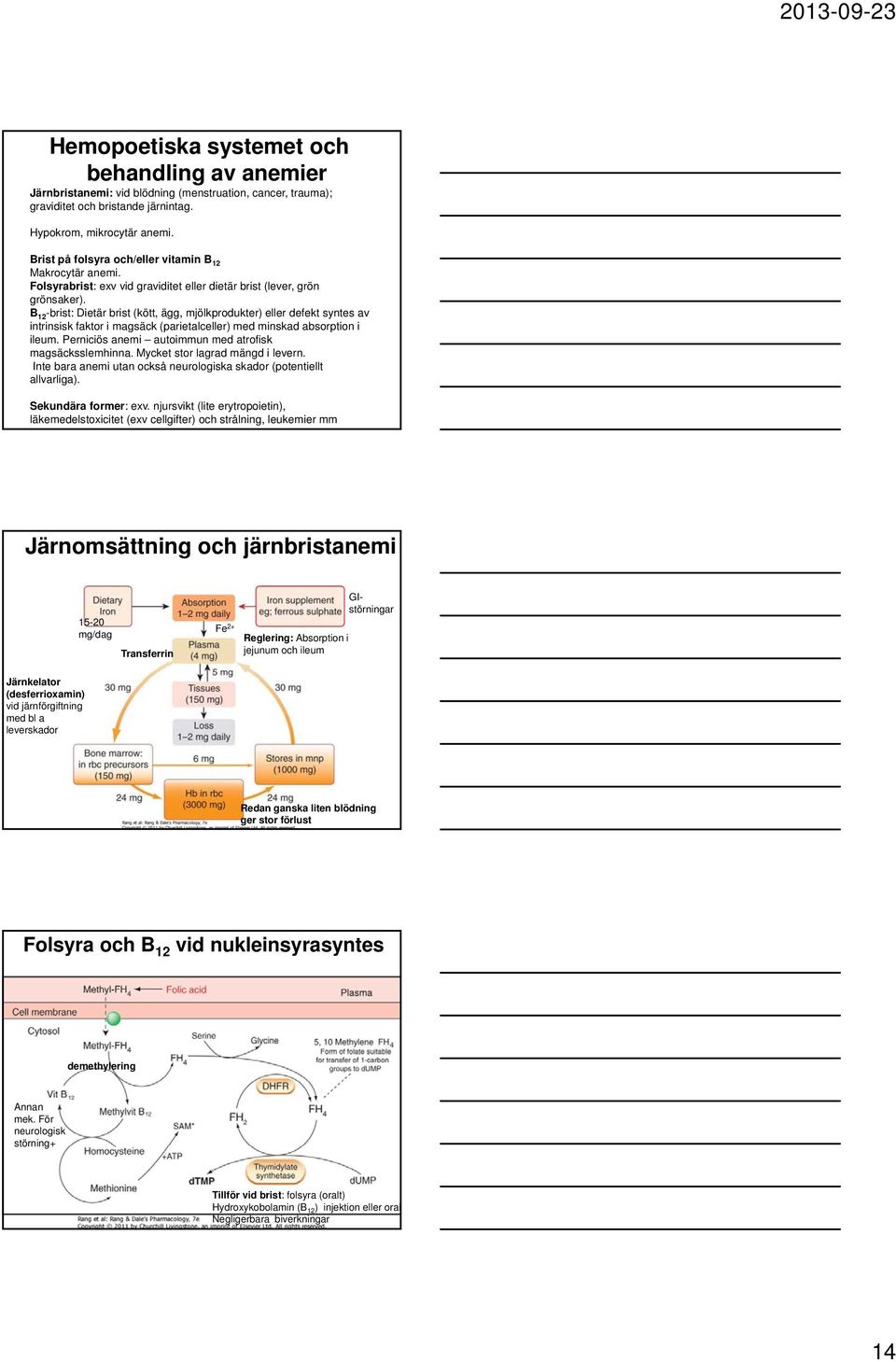 B -brist: Dietär brist (kött, ägg, mjölkprodukter) eller defekt syntes av intrinsisk faktor i magsäck (parietalceller) med minskad absorption i ileum.