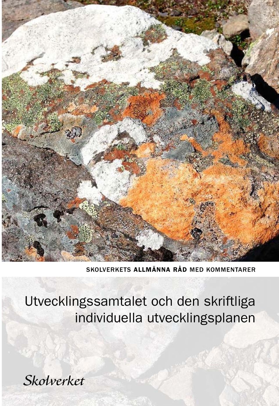 Utvecklingssamtalet och den