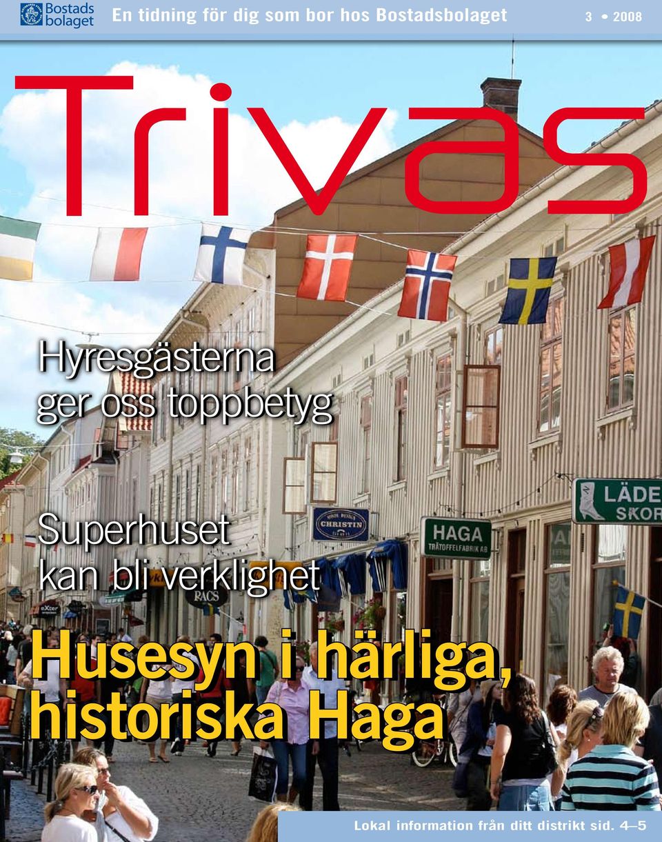 verklighet Husesyn i härliga, historiska Haga Lokal